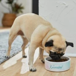 Frisco Watercolors Ceramic Personalized Dog Bowl -PetSafe Shop Sale 296664 PT2. AC SS1800 V1625764663