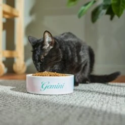 Frisco Watercolors Ceramic Personalized Dog Bowl -PetSafe Shop Sale 296664 PT3. AC SS1800 V1625764646