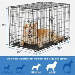 Frisco Fold & Carry Double Door Collapsible Wire Dog Crate & Mat Kit & Frisco Stainless Steel Bowl -PetSafe Shop Sale 303428 PT2. AC SS1800 V1623055045