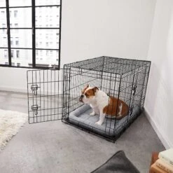 Frisco Fold & Carry Double Door Collapsible Wire Dog Crate & Mat Kit & Frisco Stainless Steel Bowl -PetSafe Shop Sale 303428 PT4. AC SS1800 V1623089543