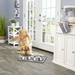 Frisco Fold & Carry Double Door Collapsible Wire Dog Crate & Mat Kit & Frisco Stainless Steel Bowl -PetSafe Shop Sale 303428 PT7. AC SS1800 V1623045760