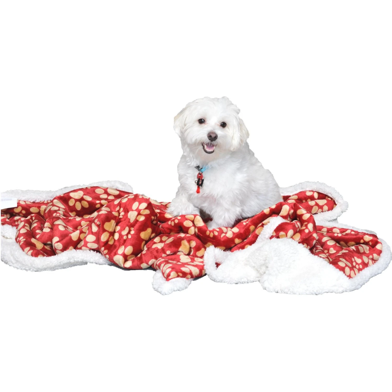 HappyCare Textiles Ultra Soft Flannel Cat & Dog Blanket 3 HappyCare Textiles Ultra Soft Flannel Cat & Dog Blanket - Image 3