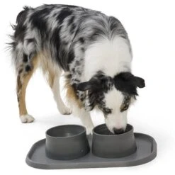 West Paw Seaflex Dog & Cat Placemat -PetSafe Shop Sale 305338 PT2. AC SS1800 V1622848089