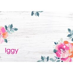 Frisco Personalized Rustic Dog & Cat Placemat -PetSafe Shop Sale 306756 PT2. AC SS1800 V1636048332