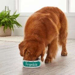 Frisco Personalized Chevron Ceramic Dog Bowl, 4.75-cup, 38oz -PetSafe Shop Sale 306761 PT4. AC SS1800 V1639518108