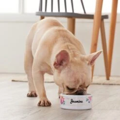Frisco Personalized Rustic Ceramic Dog & Cat Bowl -PetSafe Shop Sale 306763 PT4. AC SS1800 V1639518086