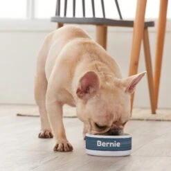 Frisco Heathered Personalized Dog & Cat Bowl -PetSafe Shop Sale 306766 PT4. AC SS1800 V1639518097