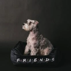 Buckle-Down Friends Bolster Dog Bed -PetSafe Shop Sale 306912 PT3. AC SS1800 V1657656801