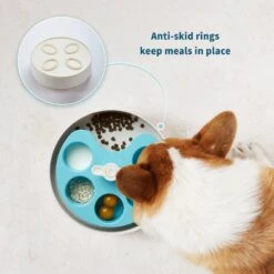 Pet Dream House SPIN Medium Level Palette Non-Skid Plastic Interactive Slow Feeder Dog Bowl, Blue -PetSafe Shop Sale 308746 PT4. AC SS1800 V1627681662