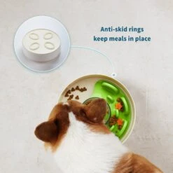 Pet Dream House SPIN Tricky Level UFO Maze Non-Skid Plastic Interactive Slow Feeder Dog Bowl -PetSafe Shop Sale 308748 PT4. AC SS1800 V1627510994