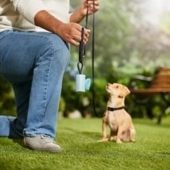 Frisco Dog Poop Bag Square Design Dispenser -PetSafe Shop Sale 309816 PT5. AC SS1800 V1670276147