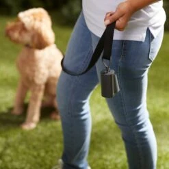 Frisco Poop Bag Square Design Dispenser 12 Frisco Poop Bag Square Design Dispenser -PetSafe Shop Sale 309818 PT5. AC SS1800 V1669101248