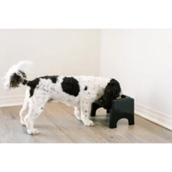 Fluff Trough Elevated Dog & Cat Feeder -PetSafe Shop Sale 311080 PT6. AC SS1800 V1625878625