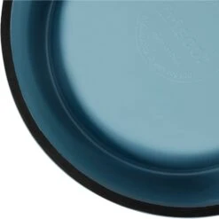 Frisco Coral Design Stainless Steel Dog & Cat Bowl -PetSafe Shop Sale 311972 PT6. AC SS1800 V1642543392