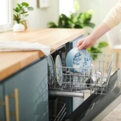 Frisco Coral Design Stainless Steel Dog & Cat Bowl -PetSafe Shop Sale 311972 PT7. AC SS1800 V1642543254