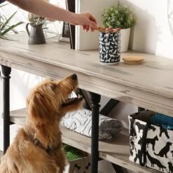 Bone Dry Ceramic Show Dog Treat Canister -PetSafe Shop Sale 313409 PT4. AC SS1800 V1631774826