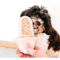 Diggs Groov Dog Crate Training Tool 12 Diggs Groov Dog Crate Training Tool -PetSafe Shop Sale 313514 PT6. AC SS1800 V1627303083