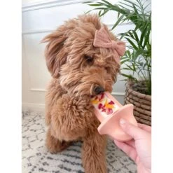 Diggs Groov Dog Crate Training Tool 13 Diggs Groov Dog Crate Training Tool -PetSafe Shop Sale 313514 PT7. AC SS1800 V1627303017