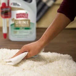 Nature's Miracle Dog Urine Destroyer Plus Enzymatic Formula Stain Remover, 1.3-gal Bottle -PetSafe Shop Sale 313852 PT6. AC SS1800 V1625874761