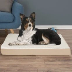 Pet Adobe Memory Foam Orthopedic Bolster Dog Bed With Removable Cover -PetSafe Shop Sale 314902 PT5. AC SS1800 V1626397929