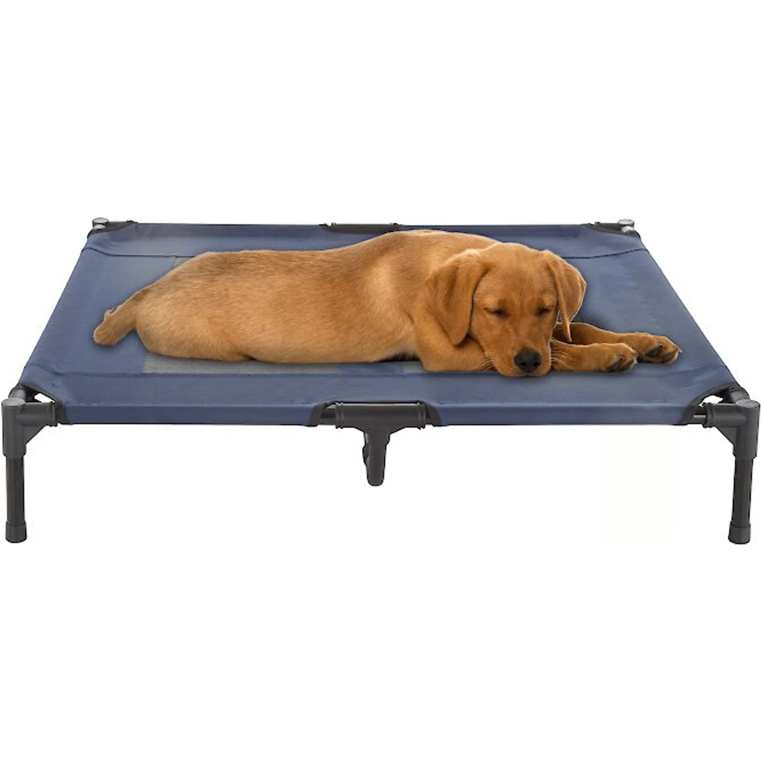 Pet Adobe Steel Frame Elevated Dog Bed 1 Pet Adobe Steel Frame Elevated Dog Bed