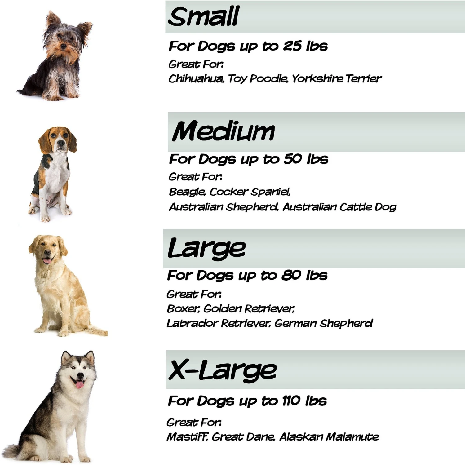 Pet Adobe Steel Frame Elevated Dog Bed 5 Pet Adobe Steel Frame Elevated Dog Bed - Image 5