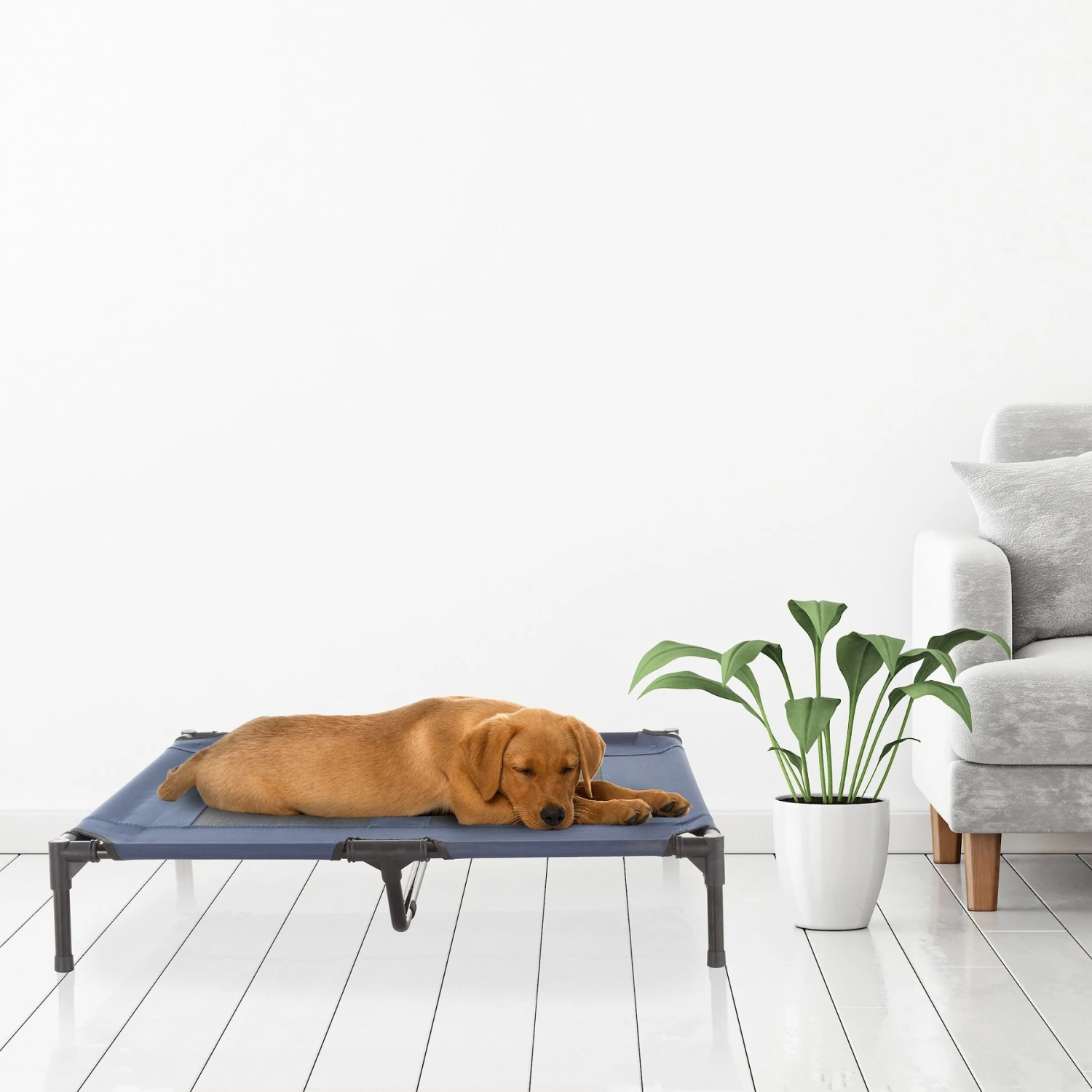 Pet Adobe Steel Frame Elevated Dog Bed 7 Pet Adobe Steel Frame Elevated Dog Bed - Image 7