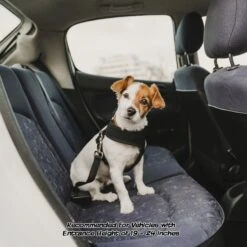 Pet Adobe Folding Dog & Cat Steps -PetSafe Shop Sale 314931 PT4. AC SS1800 V1626398830