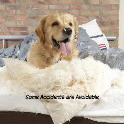 Pet Adobe Scallop Top Freestanding Dog & Cat Gate -PetSafe Shop Sale 314959 PT3. AC SS1800 V1626386228