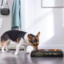 STAR WARS Melamine Stainless Steel Double Dog & Cat Bowl -PetSafe Shop Sale 315271 PT2. AC SS1800 V1647283368