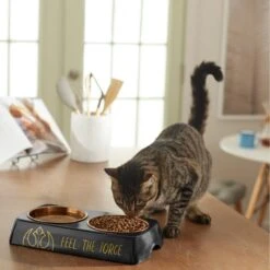 STAR WARS Melamine Stainless Steel Double Dog & Cat Bowl -PetSafe Shop Sale 315271 PT3. AC SS1800 V1647282855