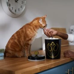 STAR WARS Melamine Dog & Cat Treat Jar -PetSafe Shop Sale 315276 PT3. AC SS1800 V1647281986