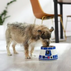 STAR WARS R2-D2 Elevated Melamine Stainless Steel Dog & Cat Bowl, 1.5 Cup -PetSafe Shop Sale 315278 PT2. AC SS1800 V1647281494