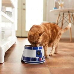STAR WARS R2-D2 Elevated Melamine Stainless Steel Dog & Cat Bowl, 1.5 Cup -PetSafe Shop Sale 315278 PT3. AC SS1800 V1647283296