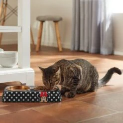 Disney Minnie Mouse Peek-A-Boo Melamine Stainless Steel Double Dog & Cat Bowl -PetSafe Shop Sale 315286 PT3. AC SS1800 V1647282324