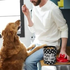 Disney Minnie Mouse Peek-A-Boo Melamine Dog & Cat Treat Jar -PetSafe Shop Sale 315289 PT2. AC SS1800 V1647282455