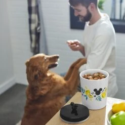 Disney Mickey Mouse Lemon Melamine Dog & Cat Treat Jar -PetSafe Shop Sale 315302 PT2. AC SS1800 V1647282011