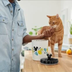 Disney Mickey Mouse Lemon Melamine Dog & Cat Treat Jar -PetSafe Shop Sale 315302 PT3. AC SS1800 V1647283698