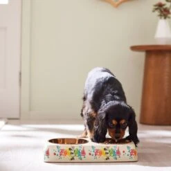 Disney Minnie Mouse Summer Bamboo Melamine Stainless Steel Double Dog & Cat Bowl -PetSafe Shop Sale 315343 PT2. AC SS1800 V1647283653