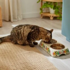 Disney Minnie Mouse Summer Bamboo Melamine Stainless Steel Double Dog & Cat Bowl -PetSafe Shop Sale 315343 PT3. AC SS1800 V1647282052