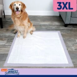 Hartz Home Protection No Odor No Leaks Lavendar Scented 3X-Large Dog Pads -PetSafe Shop Sale 315476 PT5. AC SS1800 V1689018342