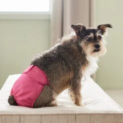 Frisco Washable Female Diaper -PetSafe Shop Sale 315702 PT3. AC SS1800 V1644885450