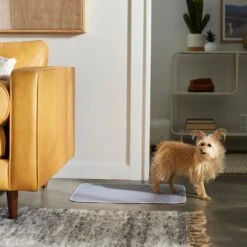 Frisco Washable Dog Potty Pads 8 Frisco Washable Dog Potty Pads -PetSafe Shop Sale 315712 PT3. AC SS1800 V1644880410