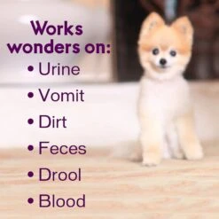 Biokleen Bac-Out Pet Stain & Odor Remover, 1-gal -PetSafe Shop Sale 316075 PT4. AC SS1800 V1632788173