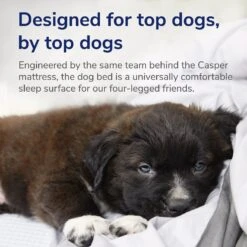 Casper Bolster Dog Bed 11 Casper Bolster Dog Bed -PetSafe Shop Sale 316201 PT3. AC SS1800 V1651787787
