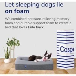 Casper Bolster Dog Bed 14 Casper Bolster Dog Bed -PetSafe Shop Sale 316201 PT6. AC SS1800 V1651788108