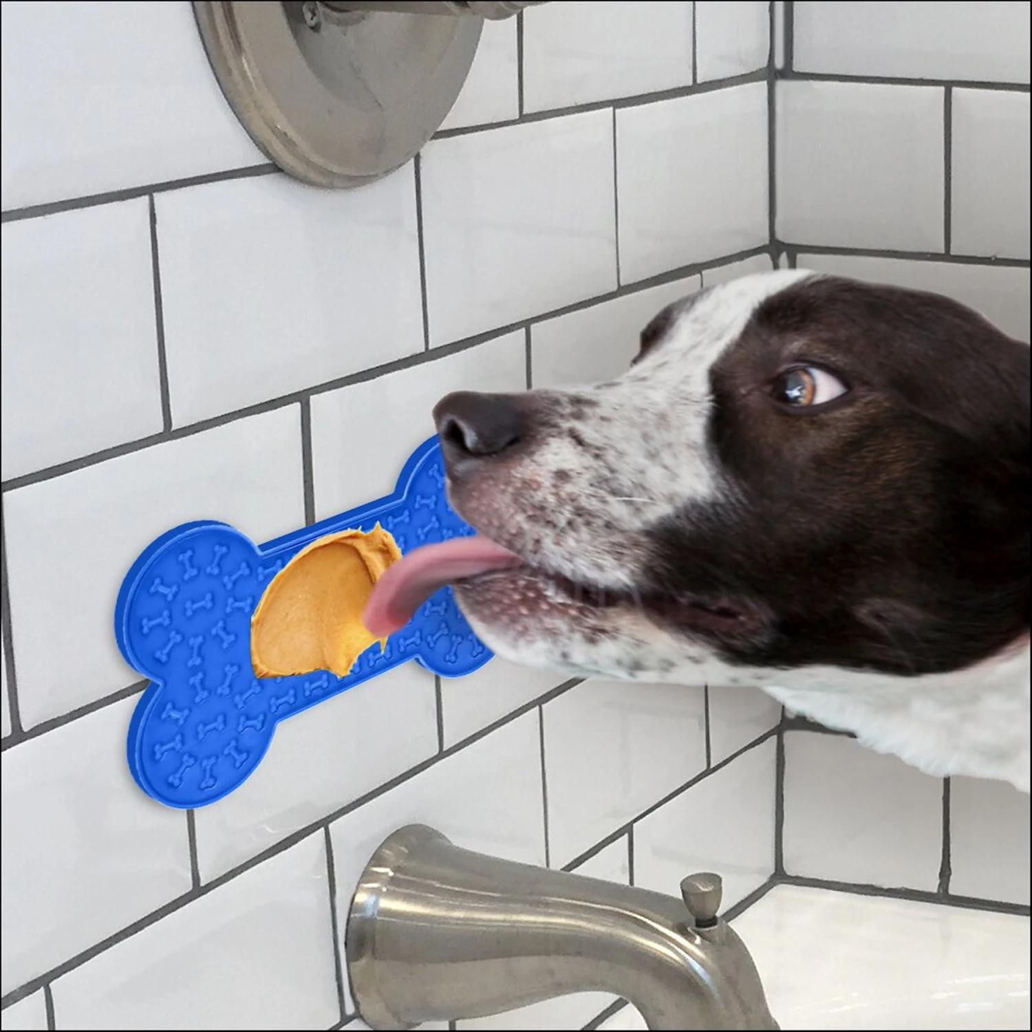 Rinse Ace Suction Grooming Lick Pad Dog Grooming Tool 3 Rinse Ace Suction Grooming Lick Pad Dog Grooming Tool - Image 3