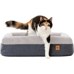 Litterbox.com Memory Foam Cat & Dog Bed -PetSafe Shop Sale 316885 PT3. AC SS1800 V1634077932