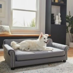 Frisco Sofa Pet Bed With Removable Cover & Frisco Eyelash Cat & Dog Blanket 13 Frisco Sofa Pet Bed With Removable Cover & Frisco Eyelash Cat & Dog Blanket -PetSafe Shop Sale 319504 PT4. AC SS1800 V1630625195
