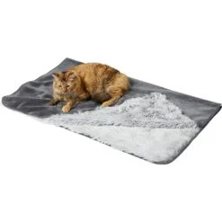 Frisco Sofa Pet Bed With Removable Cover & Frisco Eyelash Cat & Dog Blanket 14 Frisco Sofa Pet Bed With Removable Cover & Frisco Eyelash Cat & Dog Blanket -PetSafe Shop Sale 319504 PT5. AC SS1800 V1630619791